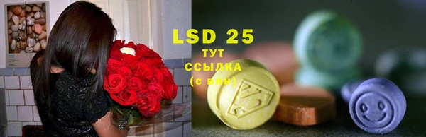 твердый Козловка