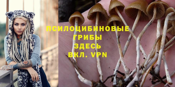 скорость Абаза