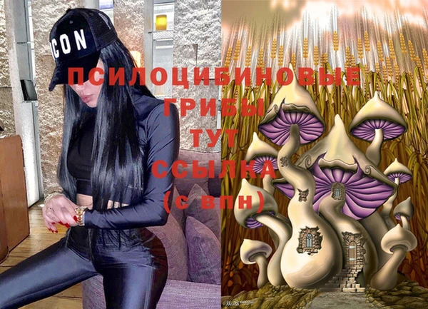скорость Абаза