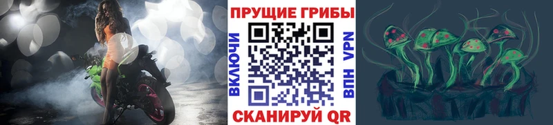 Галлюциногенные грибы MAGIC MUSHROOMS купить наркотик Сысерть