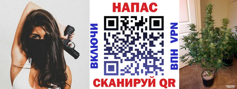 где купить наркоту  Сысерть  Конопля тримм 